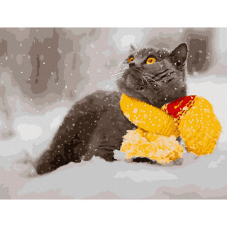 Картина по номерам 'Британец в шарфе' (20 цветов), 30х40 см Molly 1