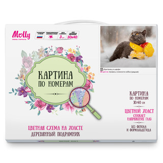 Картина по номерам 'Британец в шарфе' (20 цветов), 30х40 см Molly 2