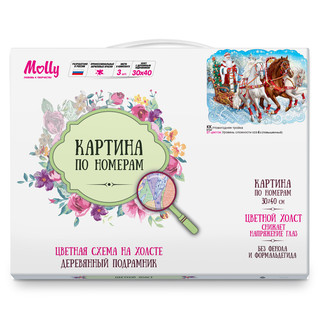 Картина по номерам 'Новогодняя тройка', 30х40 см (27 цветов)  2