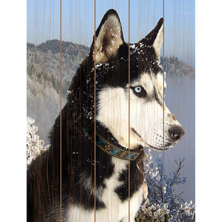 Картина по номерам на дереве 'Сибирский хаски', 30х40 см (19 ...