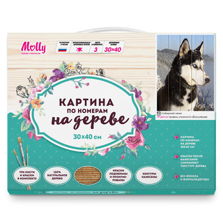 Картина по номерам на дереве 'Сибирский хаски', 30х40 см (19 цветов) Molly 2