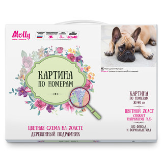 Картина по номерам 'Французский бульдог' (23 цвета), 30х40 см Molly 2
