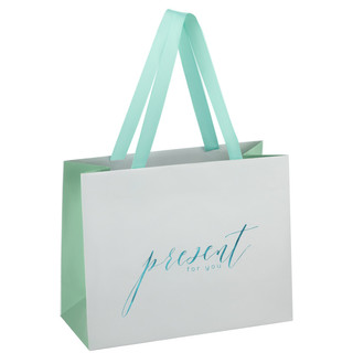 Пакет подарочный 'Tender present silver', 23x18x10 см MESHU, цвет белый, голубой