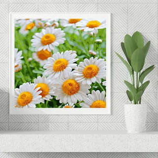 Картина по номерам 'Полевые ромашки' 30х30 см, 27 цветов 4