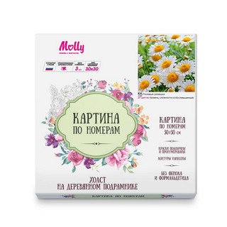 Картина по номерам 'Полевые ромашки' 30х30 см, 27 цветов 2