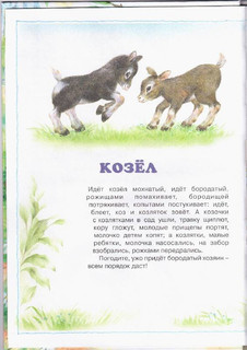 О диких и домашних животных. 2-4 года 2