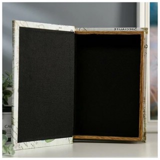 Шкатулка-книга 'Кактусы' с зеркалом, 26х17.5х5 см 2