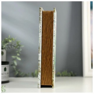 Шкатулка-книга 'Кактусы' с зеркалом, 26х17.5х5 см 4