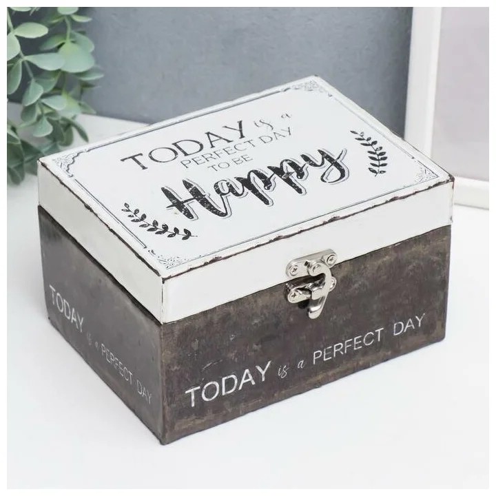 Шкатулка 'Сегодня идеальный день для счастья' 9х12х16 см