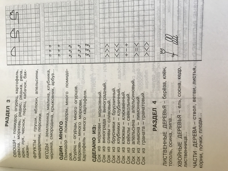 3000 вопросов при поступлении детей в школу, размер 205x260 мм
