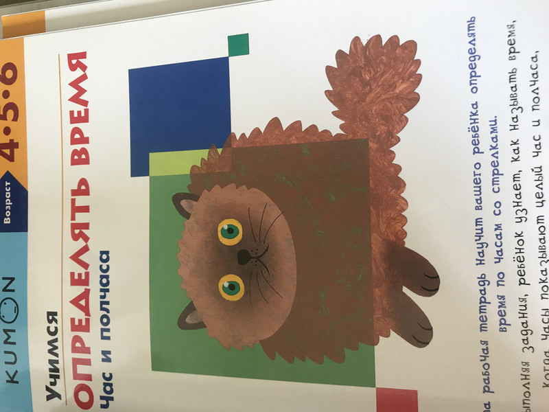 Учимся определять время. Час и полчаса. Рабочая тетрадь