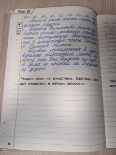 Тренажер по чистописанию. 3 класс. Учимся работать с текстом