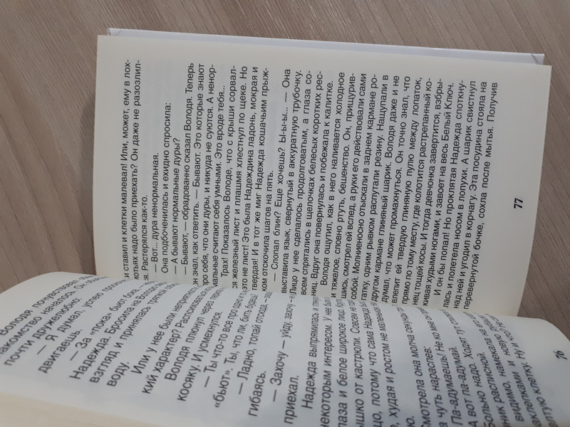 Оруженосец Кашка