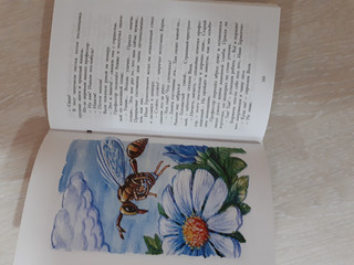 Необыкновенные приключения Карика и Вали