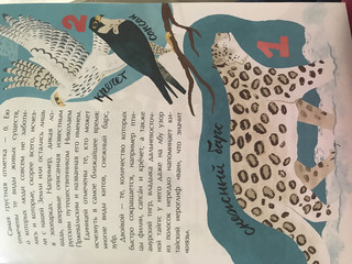 Что такое Красная книга