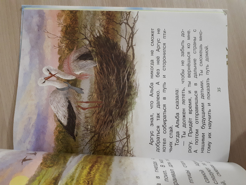 Как я родился? Сказки Капустной феи