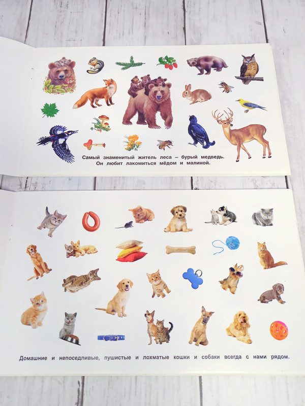 Пушистые и лохматые. Альбом наклеек