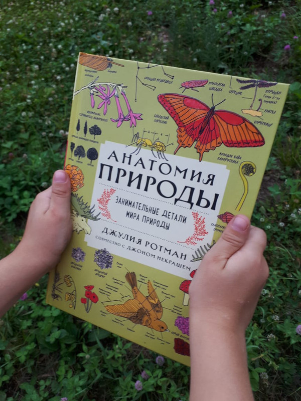 Анатомия природы. Занимательные детали мира природы