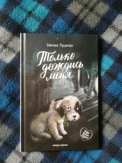 Только дождись меня