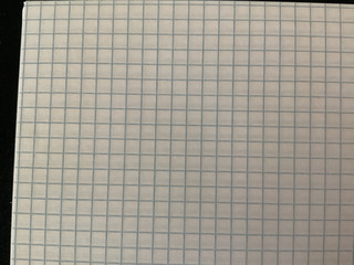 Тетрадь общая 48л на гребне, 'Ботаника' ирис