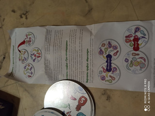 Обучающая игра Фрукто 10