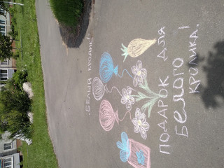 Конкурс Большой конкурс рисунков на асфальте, Белоенко Любовь 1