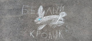 Конкурс Большой конкурс рисунков на асфальте, Соболева Светлана 1