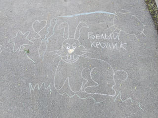 Конкурс Большой конкурс рисунков на асфальте, Николаева Кристина 1