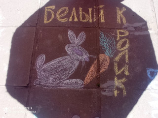 Конкурс Большой конкурс рисунков на асфальте, Аксёнова Ольга 2