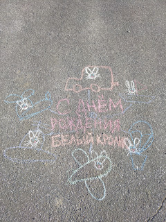 Конкурс Большой конкурс рисунков на асфальте, Суворова Елена 2