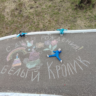 Конкурс Большой конкурс рисунков на асфальте, Денисова Ольга 2