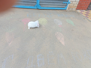 Конкурс Большой конкурс рисунков на асфальте, Ткачёва Екатерина 2