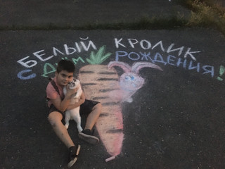 Конкурс Большой конкурс рисунков на асфальте, Игнатенко Ольга 6