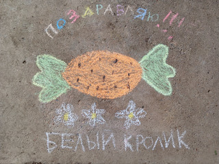 Конкурс Большой конкурс рисунков на асфальте, Федорова Любовь 2