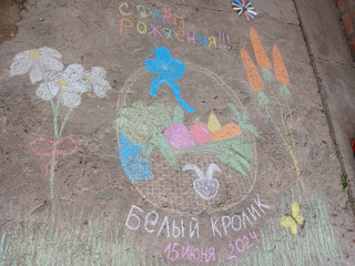 Конкурс Большой конкурс рисунков на асфальте, Федорова Любовь 2