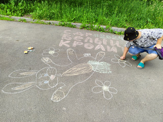 Конкурс Большой конкурс рисунков на асфальте, Николаева Кристина 3