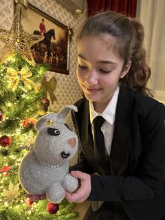 Конкурс Конкурс ёлочных игрушек, Дейнеко Наталья 4