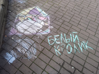 Конкурс Большой конкурс рисунков на асфальте, Крупенькина Дина 1