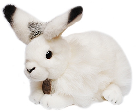 Белый Кролик игрушка и сеть магазинов