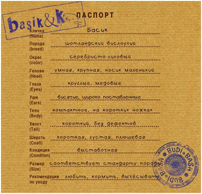 Паспорт кота Басика (мягкая игрушка)