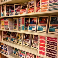 Белый Кролик на Полежаевской, витрины