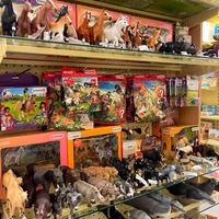 Белый Кролик на Полежаевской, витрины