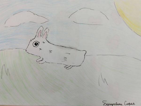 Конкурс Нарисуй Кролика в стиле аниме