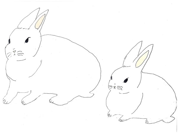 Конкурс Нарисуй Кролика в стиле аниме, Хошева Дина