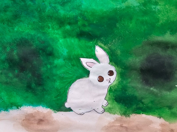 Конкурс Нарисуй Кролика в стиле аниме, Челышкина София