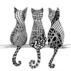 День кошек 1 марта