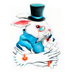 Загадки белого кролика